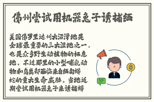 榴莲视频h